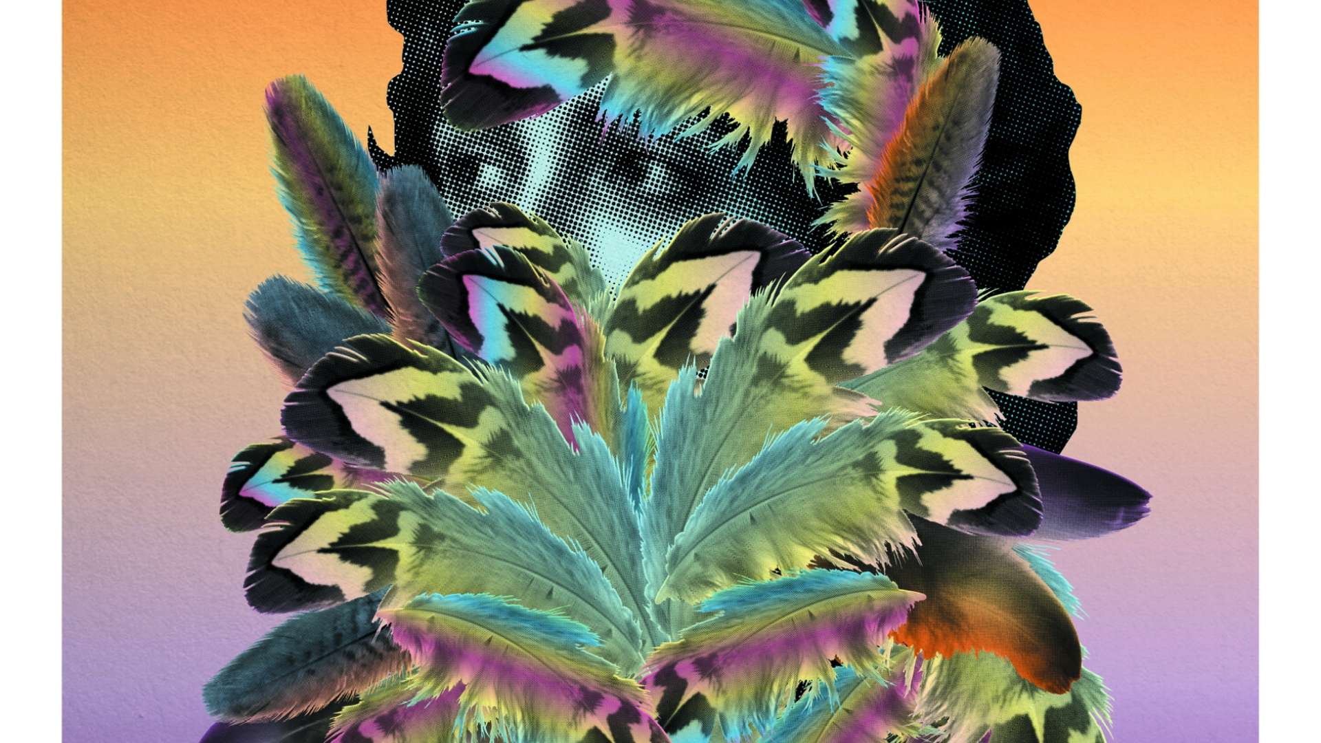 De nouveau les oiseaux | La rose des vents