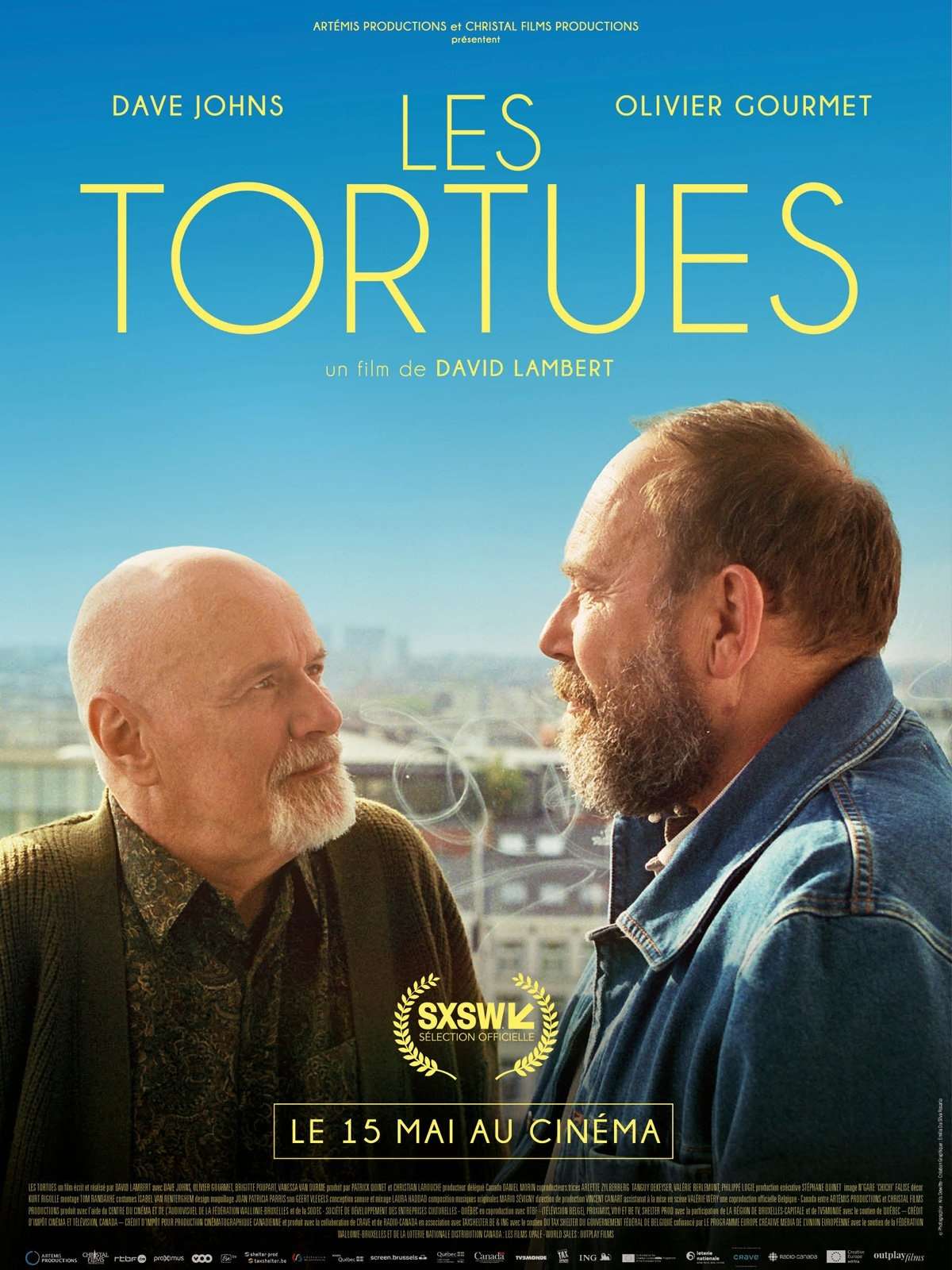 Poster du film Les Tortues